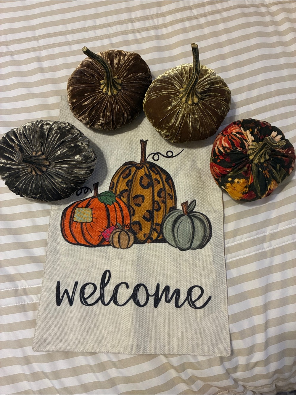 Autumn Velvet pumpkin decor and garden flag bundle